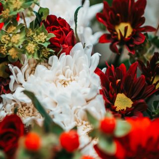 waqar-1ZF_yaVqP20-unsplash