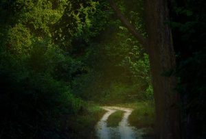 yogesh-pedamkar-s2WgRkBXxzU-unsplash