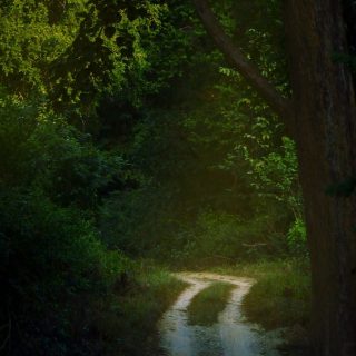 yogesh-pedamkar-s2WgRkBXxzU-unsplash