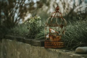 zoltan-tasi-9Z2AK_BEBpw-unsplash